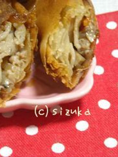 我が家の✿春巻き-レシピのメイン写真