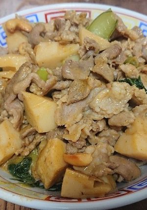 豚肉とたけのこのカレー味炒め-レシピのメイン写真