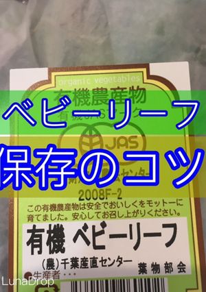 ベビーリーフ 保存のコツ-レシピのメイン写真