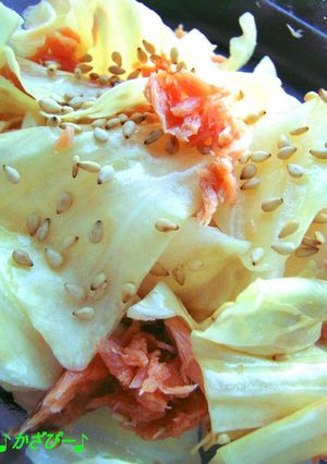 お弁当に♪キャベツと鮭フレークのチン-レシピのメイン写真