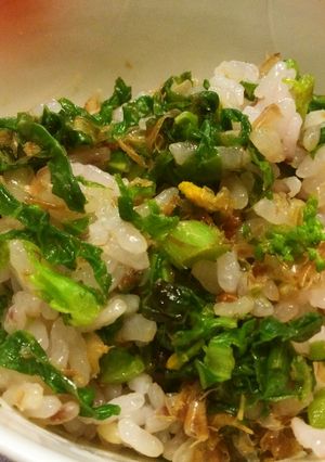 簡単！おいしい！菜の花のおかか混ぜごはん-レシピのメイン写真