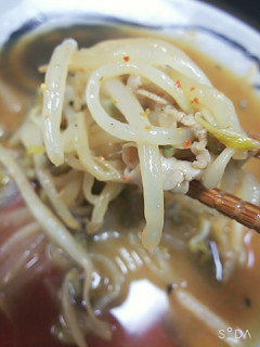 お酒のアテに もやしと豚肉の炒め物-レシピのメイン写真