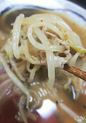 お酒のアテに もやしと豚肉の炒め物-レシピのメイン写真