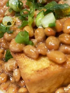 厚揚げの納豆煮-レシピのメイン写真