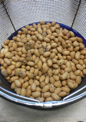 アサヒ軽金属の圧力鍋で作る『蒸し大豆』-レシピのメイン写真