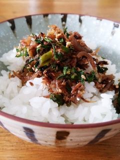 大根葉としらすのふりかけ-レシピのメイン写真
