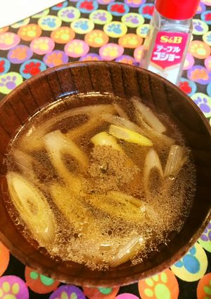 沸騰したら完成★胡椒強めネギの中華スープ-レシピのメイン写真
