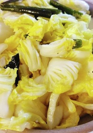 白菜の塩麹漬け-レシピのメイン写真