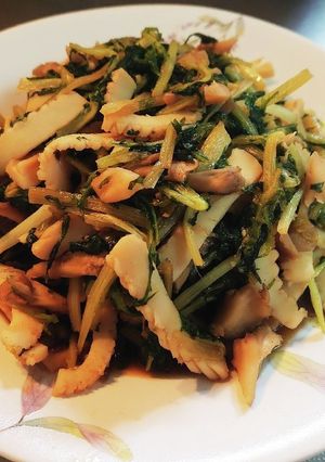 水菜とイカのオイスター炒め-レシピのメイン写真