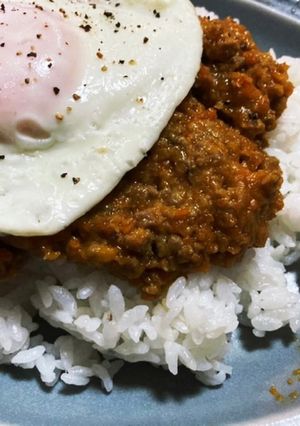 やっとできた！絶品ドライカレー-レシピのメイン写真