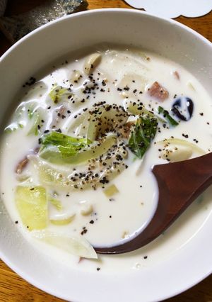 白菜のミルク煮-レシピのメイン写真