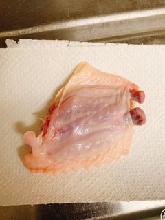 食べやすい!手羽の下処理方法-レシピのメイン写真