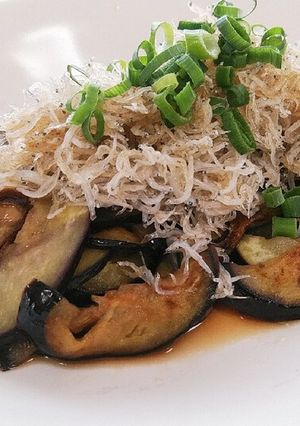 ごま油が合う！なすとしらすのポン酢かけ-レシピのメイン写真