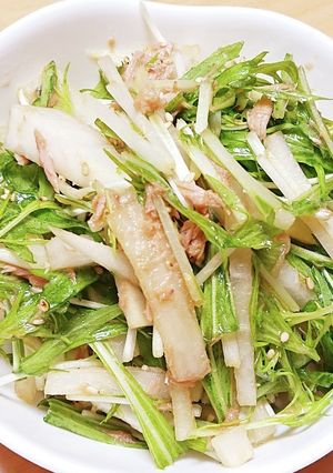 ポンの大根と水菜のサラダ-レシピのメイン写真
