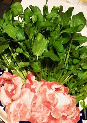 クレソンと豚バラ肉の黒胡椒しゃぶしゃぶ-レシピのメイン写真