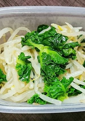 もやしとプチヴェールのナムル-レシピのメイン写真