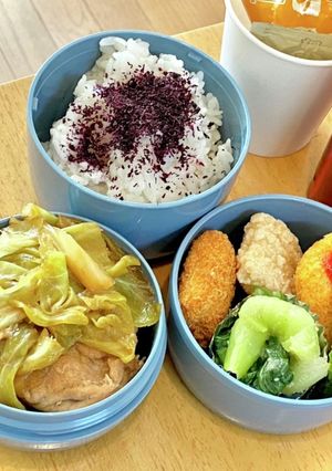 手間いらず！豚キャベツ　タロの弁当102-レシピのメイン写真