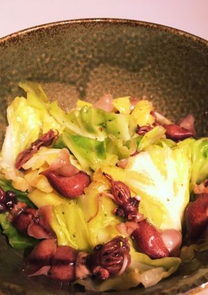 ホタルイカとキャベツ-レシピのメイン写真