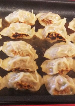 ニンニク抜き！我が家の餃子-レシピのメイン写真