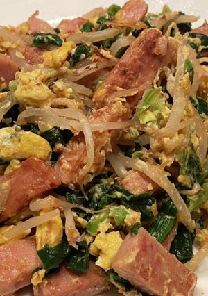 スパムの活用。ゴーヤチャンプル風-レシピのメイン写真
