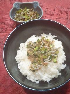 【大根の葉を活用】シャキシャキ生ふりかけ-レシピのメイン写真