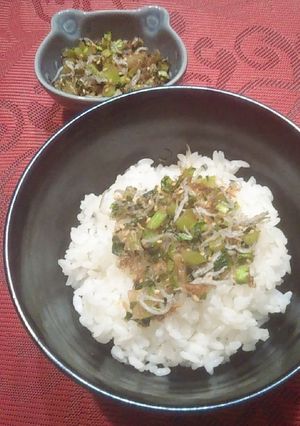 【大根の葉を活用】シャキシャキ生ふりかけ-レシピのメイン写真