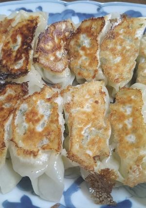 白菜で餃子-レシピのメイン写真