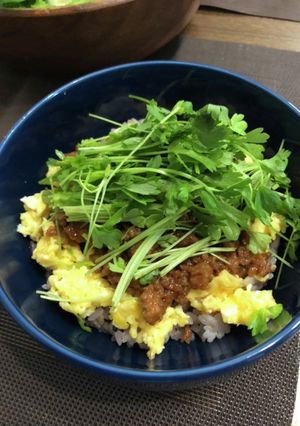 ホワイトセロリのそぼろ玉子ご飯-レシピのメイン写真