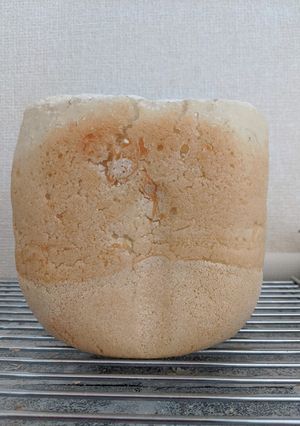 GOPANグルテンフリー100%お米パン-レシピのメイン写真