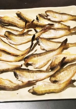 冷蔵庫で!!ハタハタの一夜干し-レシピのメイン写真