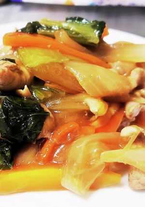 【初心者向け】野菜と豚肉の炒めもの-レシピのメイン写真