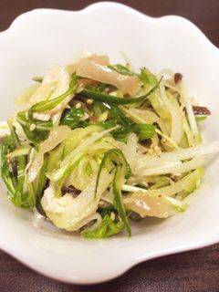 ピリ辛ザーサイサラダ-レシピのメイン写真