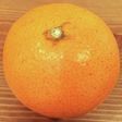 みかん