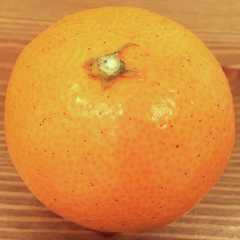 A picture of みかん.