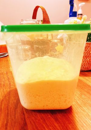 ☆自家製レーズン酵母☆を使った中種-レシピのメイン写真