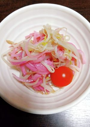 もやしとレッドオニオンのサラダ-レシピのメイン写真
