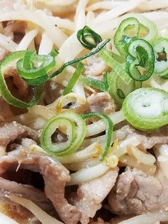 【覚書】豚肉ともやしのご飯が進む味噌炒め-レシピのメイン写真