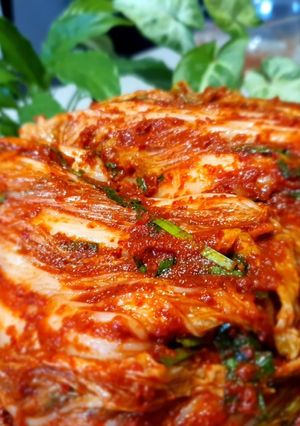 韓国人の妻の１kgだけ漬ける白菜キムチ-レシピのメイン写真
