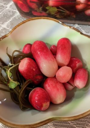 二十日大根の寿司酢漬け-レシピのメイン写真