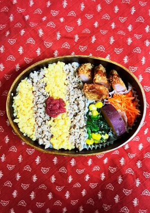 ハムカツとそぼろ弁当-レシピのメイン写真