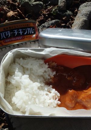 メスティンで白飯炊いてカレー-レシピのメイン写真