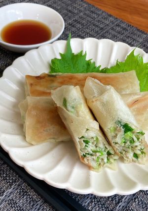 ＊時短！春巻き餃子＊-レシピのメイン写真