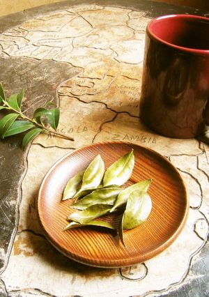 サザンカの葉茶-レシピのメイン写真