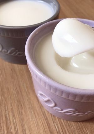ぷるんぷるん牛乳プリン-レシピのメイン写真