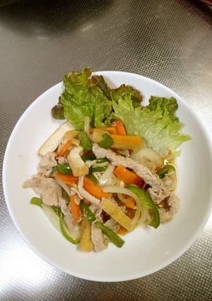 豚肉と厚揚げの炒め物-レシピのメイン写真