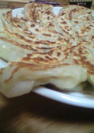 豆腐とツナのヘルシー餃子-レシピのメイン写真