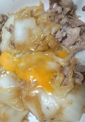 適当④すき焼き風豚丼-レシピのメイン写真