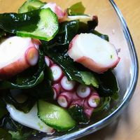 基本からアレンジまで！思わずつくりたくなる「穀物酢 酢のもの」の