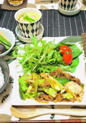 今日の夕飯のおかずは回鍋肉メインの献立-レシピのメイン写真