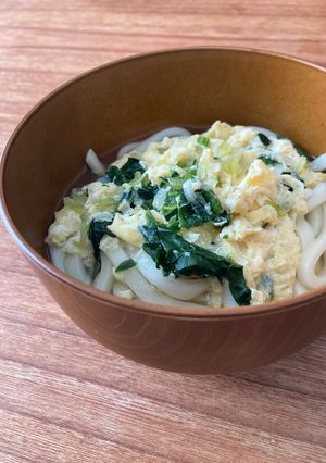 無添加幼児食　いしると鰹節のうどんつゆ-レシピのメイン写真
